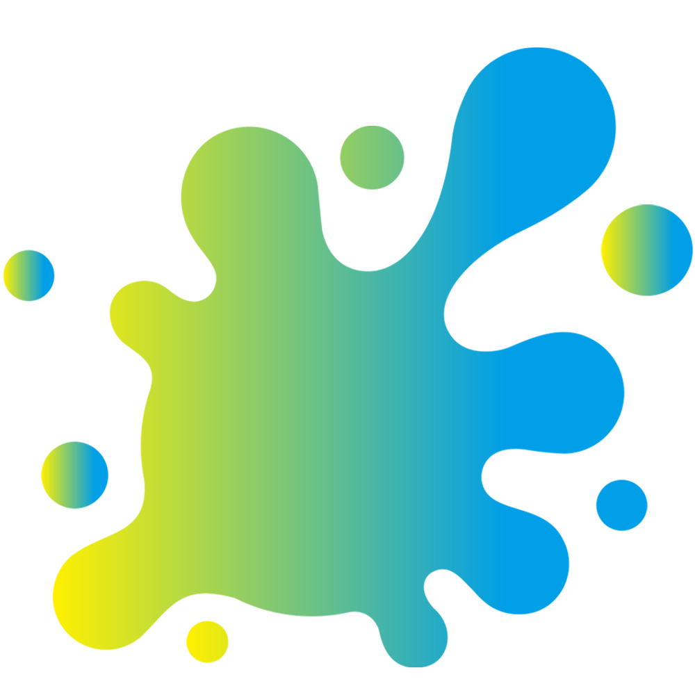 PULIDIKI logo
